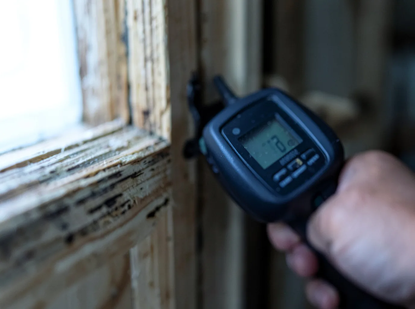 Commercial Water Damage Restoration in Avon, CO